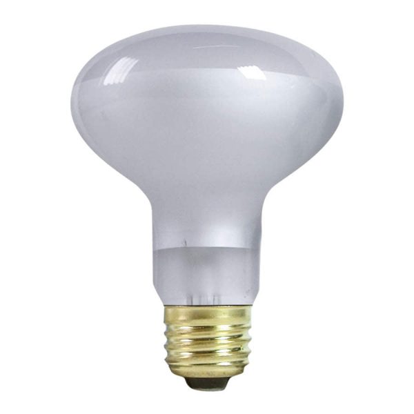 Zilla Incandescent Spot Bulbs Day White 1ea 150 W Online Hot Sale