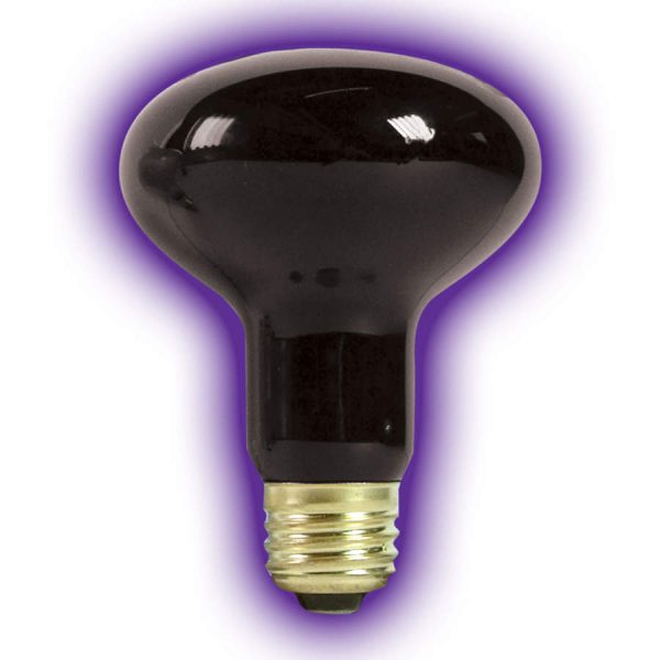 Zilla Incandescent Spot Bulbs Night Black 1ea 100 W For Sale