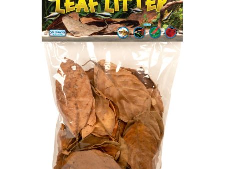 Zoo Med Aquarium Leaf Litter 1ea 1oz. Online