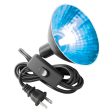 Zilla Light & Heat Mini Halogen Bulbs Day Blue 1ea 25 W on Sale