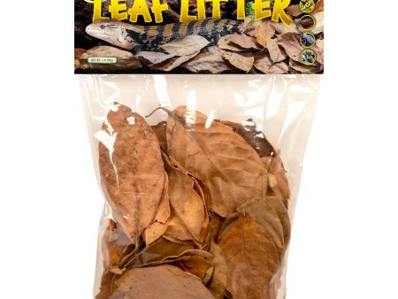 Zoo Med Terrarium Leaf Litter 1ea 1oz. Hot on Sale