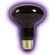 Zilla Incandescent Spot Bulbs Night Black 1ea 75 W Fashion