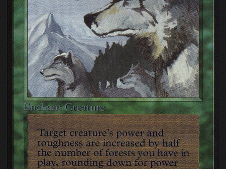 Aspect of Wolf [Collectors  Edition] Discount