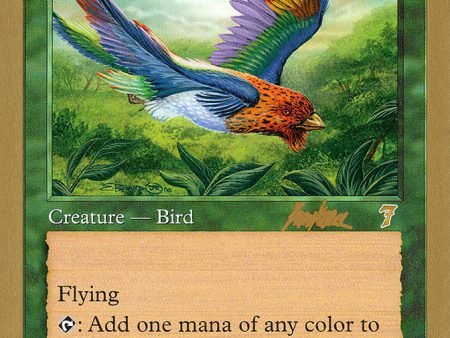 Birds of Paradise (Brian Kibler) [World Championship Decks 2002] Supply