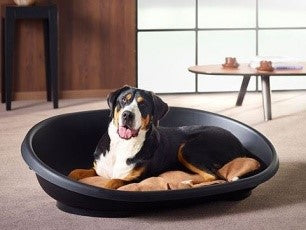 SNOOZE PET PLASTIC BED BLACK on Sale